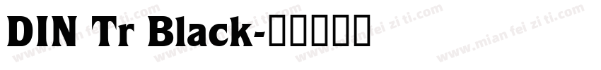 DIN Tr Black字体转换